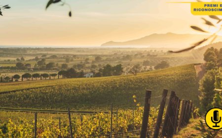 Monteverro si conferma tra i grandi del vino, con riconoscimenti e punteggi eccellenti