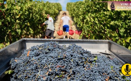 Rivoluzione Lambrusco: dal Sorbara doc Bianco ai Lambrusco Boys