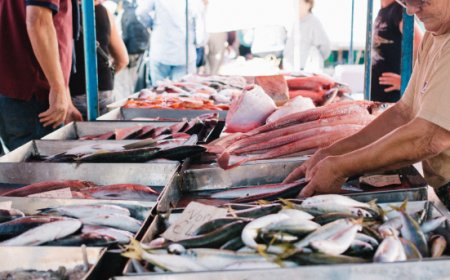 Consumi di pesce in calo nell’Unione Europea: cause, dati e prospettive