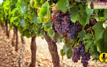 Antiche cultivar e tecniche di allevamento della vite per fronteggiare il cambiamento climatico