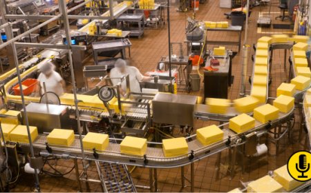 Food, Centro Studi Federalimentare: industria alimentare sempre più performante