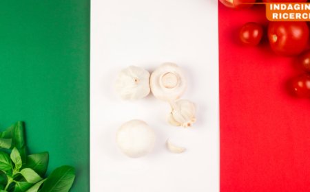 Crescita solida per l'industria alimentare italiana: export in aumento nel 2024
