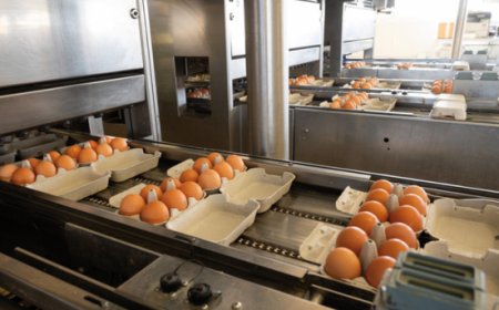 Gruppo Eurovo acquisisce l'azienda belga Hulstaert & Cie