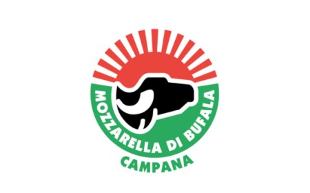 Mozzarella DOP: il consorzio presenta il report 2024 e gli scenari per il 2025