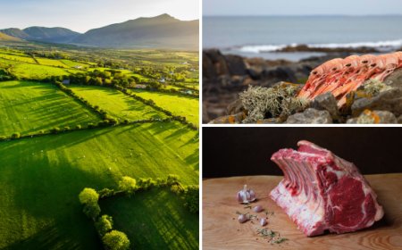 Crescono le esportazioni di alimenti e bevande irlandesi nel mondo