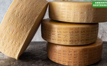 Asiago primo formaggio DOP certificato 'Made Green in Italy'