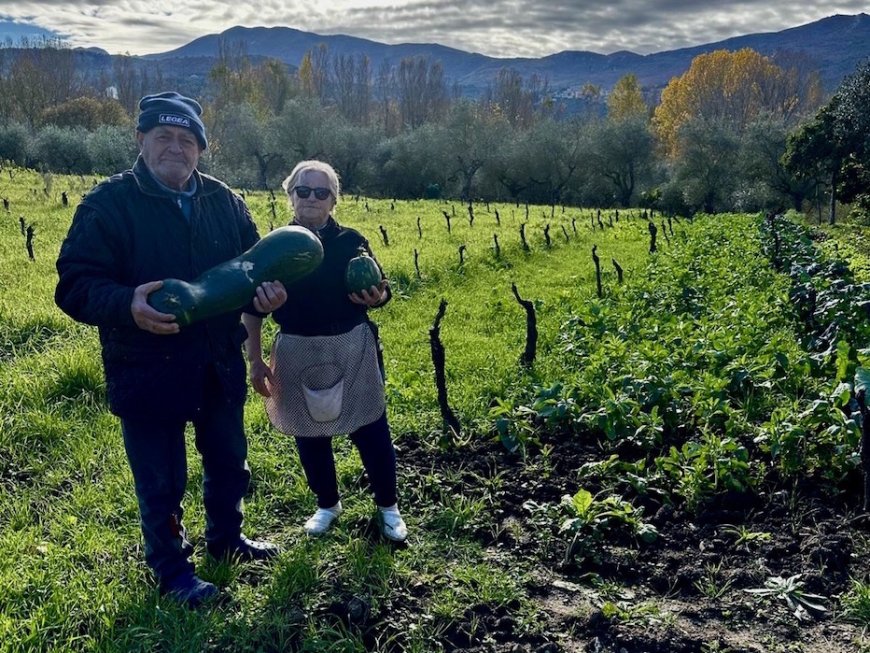 Bianca Mucciolo e la sua Rosa Bianca: la cucina autentica e di territorio che cura l’anima