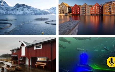 Viaggio in Norvegia alla scoperta del mondo del Salmone e dell'acquacoltura - Parte Prima