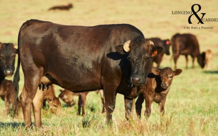 Longino & Cardenal arricchisce il catalogo 2025 con due novità
