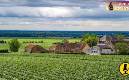 La Borgogna affida ad un Carbon Project Manager i suoi ''obiettivi climatici''