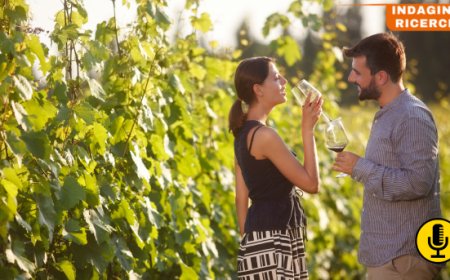 Enoturismo: previsioni di crescita del 13,2% entro il 2034