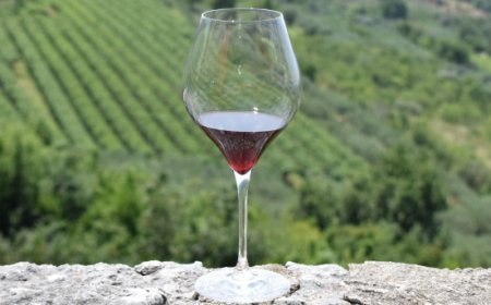 Il Consorzio Valpolicella debutta a Wine Paris