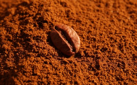 La risposta di Lavazza al servizio di Report del 9 febbraio