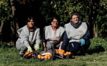 Al via la raccolta delle arance della Reggia di Caserta per le donne vittime di violenza