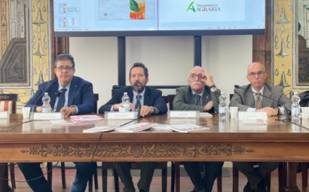 La Pizza Napoletana diventa oggetto di studio accademico