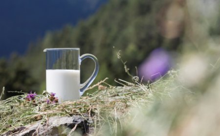 Latte fieno: una risorsa per l'economia e la biodiversità dell'Alto Adige