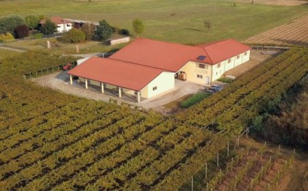 Cantina Cieck celebra 40 vendemmie