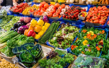 L'export agroalimentare italiano cresce ancora: oltre 21 miliardi nel 2024