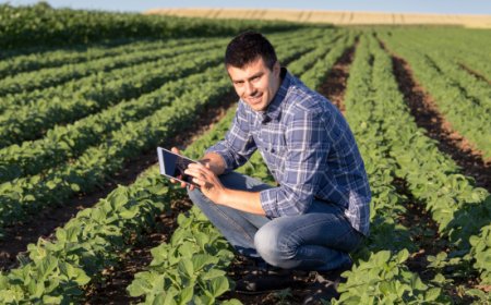 Crescita dell'Agricoltura Biologica in Europa: Italia leader nel settore