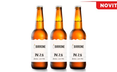 Birra PH 2.8 di Birrificio Birrone: un'acidità elegante e audace