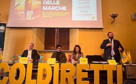 Il Presidente Commissione Agricoltura Carloni annuncia accise agevolate per i microbirrifici