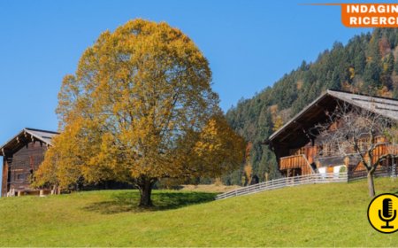 ISTAT: Agriturismi in crescita nel Belpaese, metà degli ospiti sono stranieri