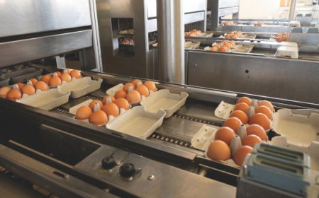 Eurovo annuncia l'acquisizione di Waffelman