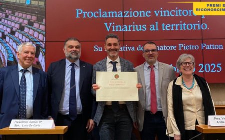 Un premio per l'eccellenza enologica del Trentino