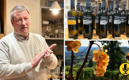 La filosofia di Damijan Podversic, vignaiolo che incarna l’anima del Collio Goriziano 