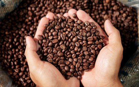 Torrefazioni italiane: Mediocredito Centrale stanzia 50 milioni per rilanciare il settore