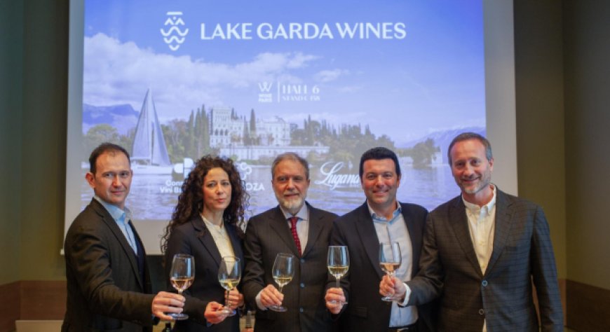 Lake Garda Wines: un progetto per valorizzare i vini del Lago di Garda