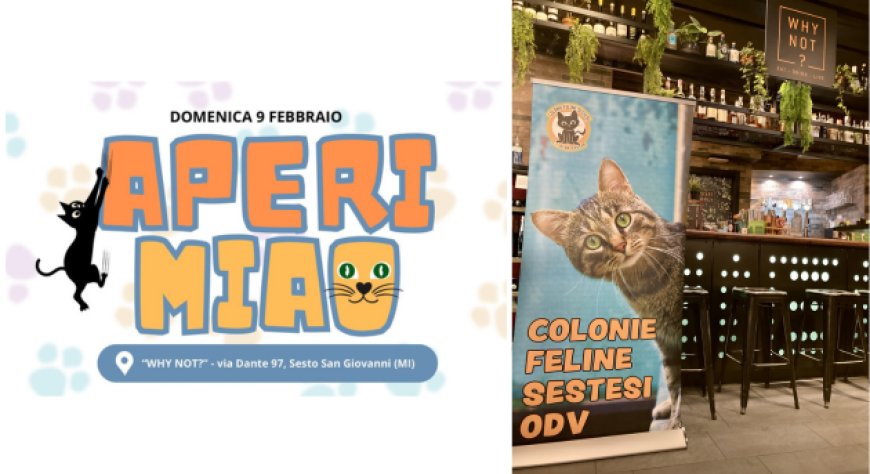 A Sesto San Giovanni l’aperitivo solidale di Winker e Colonie Feline Sestesi Odv