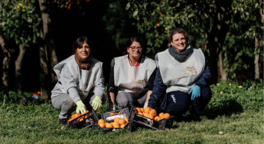 Al via la raccolta delle arance della Reggia di Caserta per le donne vittime di violenza