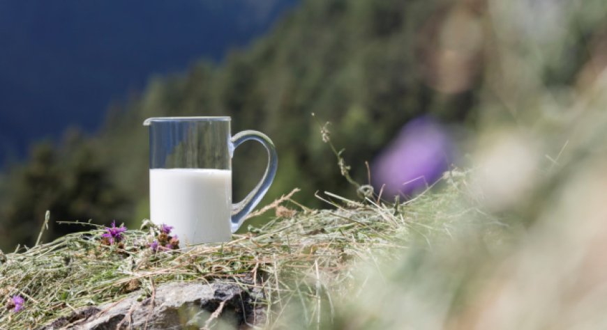 Latte fieno: una risorsa per l'economia e la biodiversità dell'Alto Adige