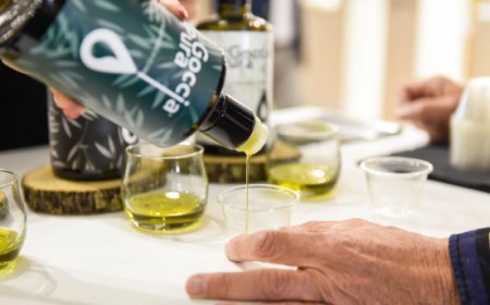 SOL2EXPO: la rassegna sull'olio d'oliva apre a Verona