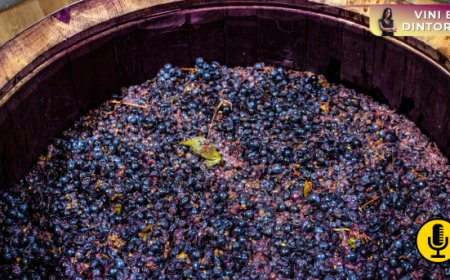 Un progetto pilota recupera CO2 pura dal vino in fermentazione per il riutilizzo in cantina 