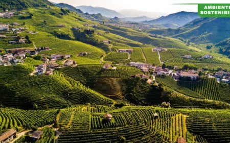 La produzione di Bortolomiol è sempre più green