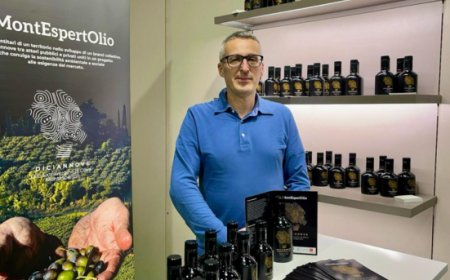 DICIANNOVE: il brand collettivo che promuove l'olio extravergine di Montespertoli