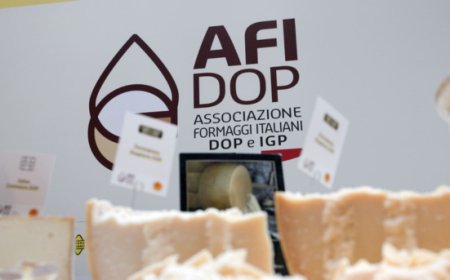 Export formaggi: nel 2024 cresce il mercato in Giappone
