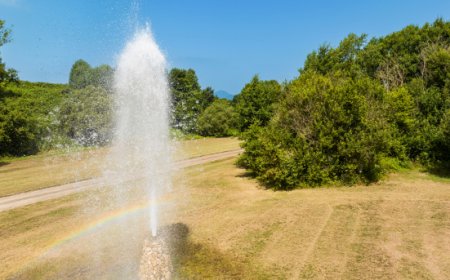 Ferrarelle e FAI insieme per le Giornate FAI di Primavera 2025