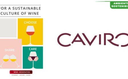 Sostenibilità e responsabilità: Caviro si unisce a Wine in Moderation come Azienda Ambasciatrice