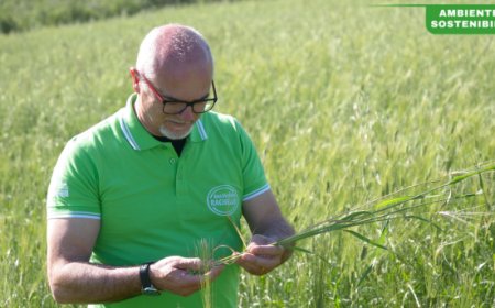 Molino Rachello partecipa alla Settimana della Sostenibilità 2025 di Confindustria Veneto Est