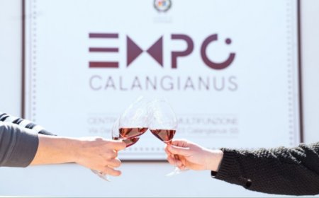 R.E.T.E. 2025: cocktail competition e workshop per celebrare le eccellenze sarde