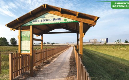 L'impegno green di Barilla: meno plastica e più foreste per un futuro sostenibile