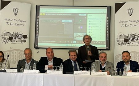 Alla scoperta dei PIWI: la Scuola Enologica di Avellino e la rivoluzione verde della viticoltura