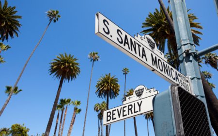 Tesla pronta a rivoluzionare la ristorazione? La scommessa di Musk