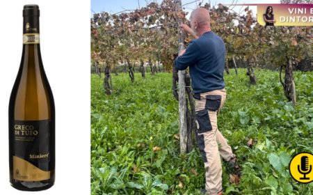 Cantine dell’Angelo e il Greco di Tufo figlio delle Miniere