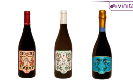 Silvaris, Greber e Fulgora: le favole enologiche di Casa Vinicola Fazio e Alessandro Enriquez