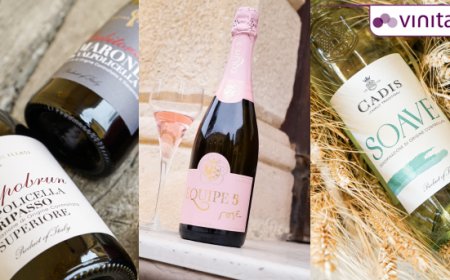 Vinitaly 2025: Cadis 1898 presenta la rivoluzione del proprio portfolio vini