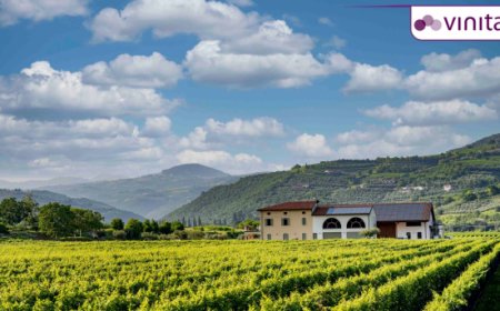 Ilatium Morini si racconta a Vinitaly 2025